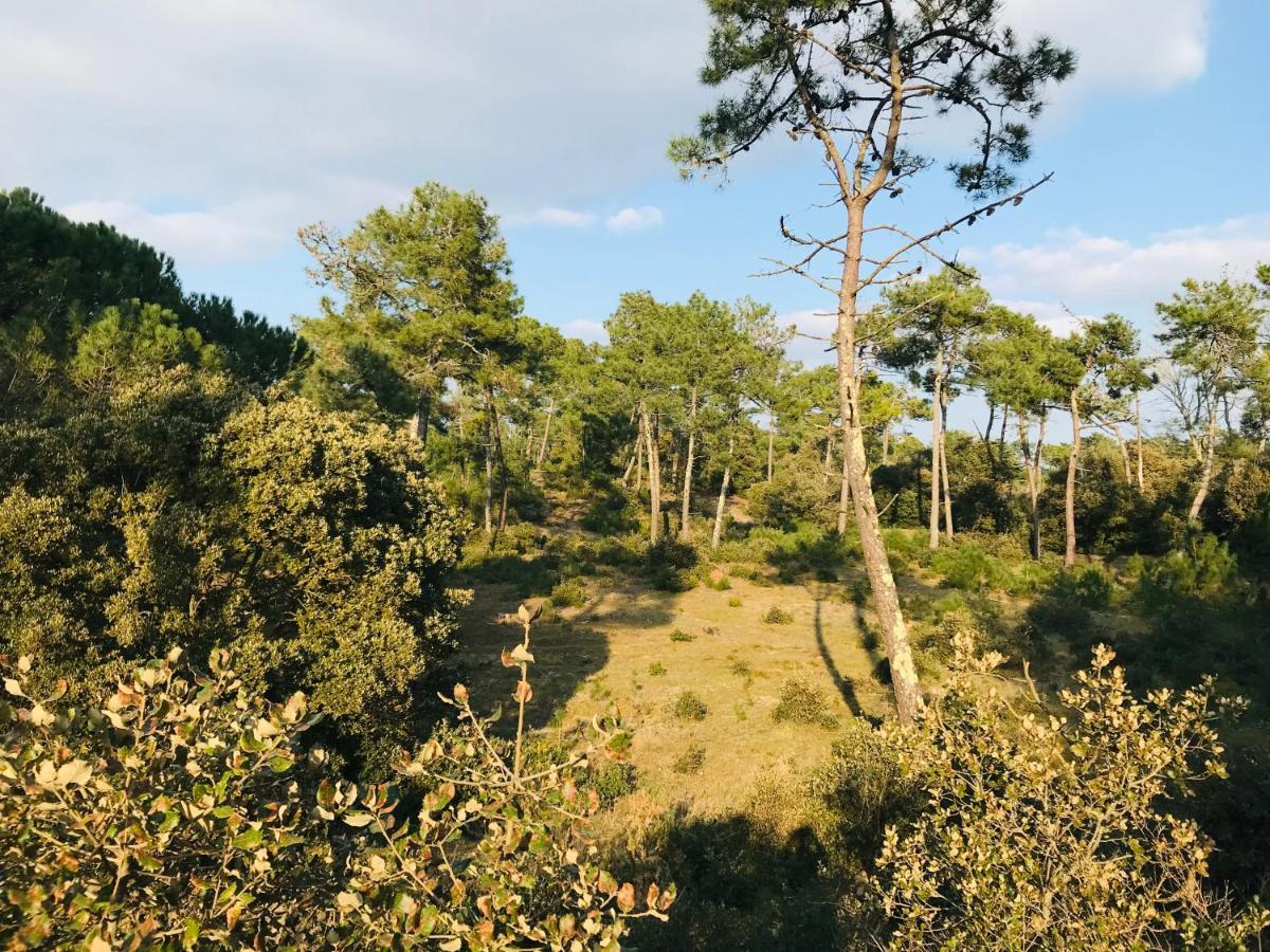 Maison De La Plage, Charme Et Soleil Saint-Jean-de-Monts Exteriér fotografie